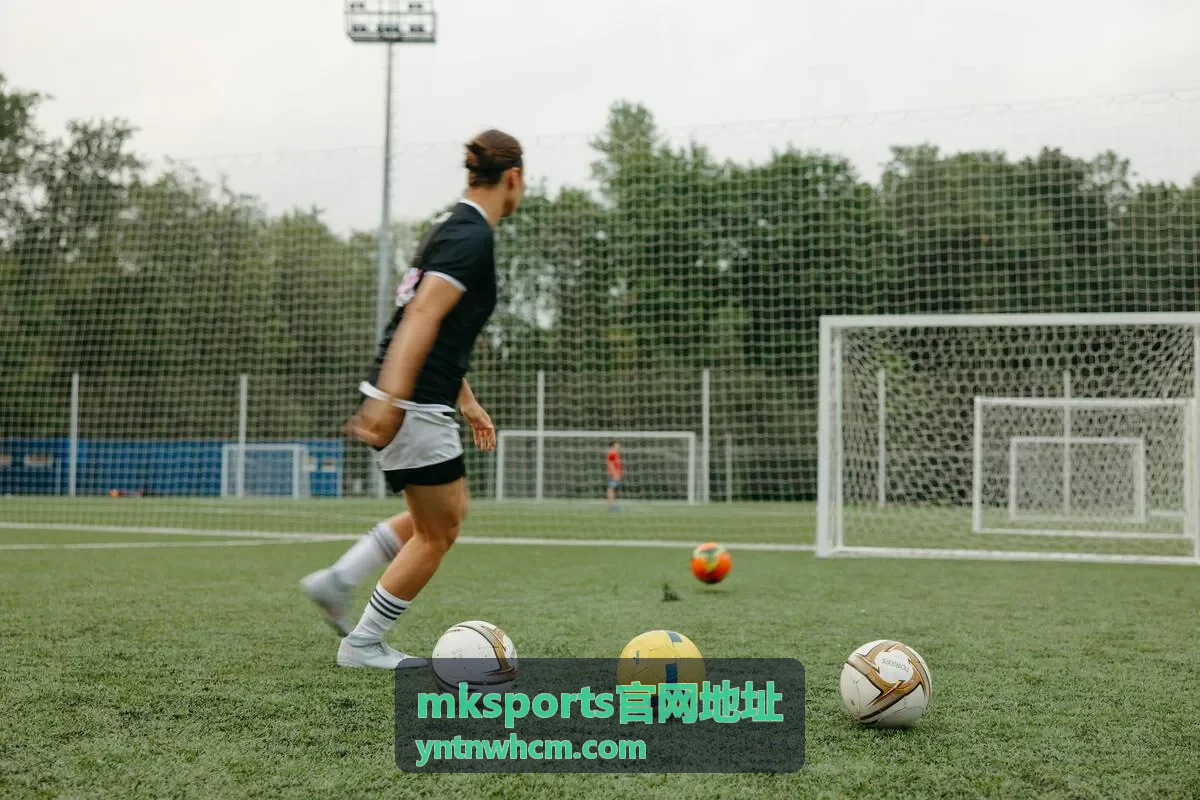 mksports官网地址入口核对步骤示意的封面图