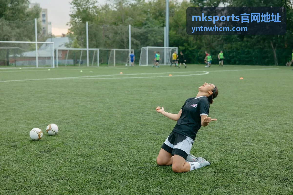 mksports官网地址平台服务分区说明的封面图