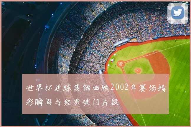 世界杯进球集锦回顾2002年赛场精彩瞬间与经典破门片段